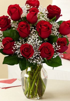 a dozen red roses in a vase