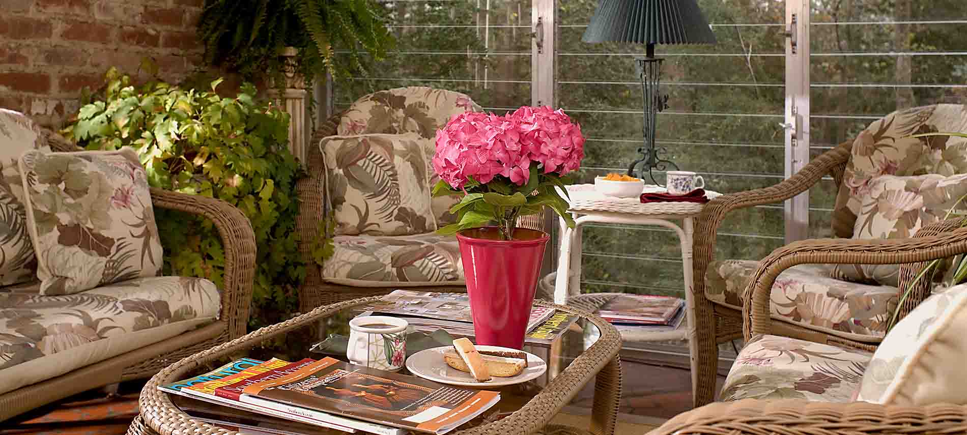 pink potted hydrangea plant on wicker and glass table with magazines and plate of biscotti