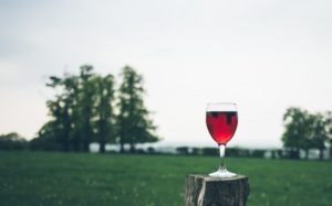 A glass of wine sits on a tree stump in an open field with green grass and trees.
